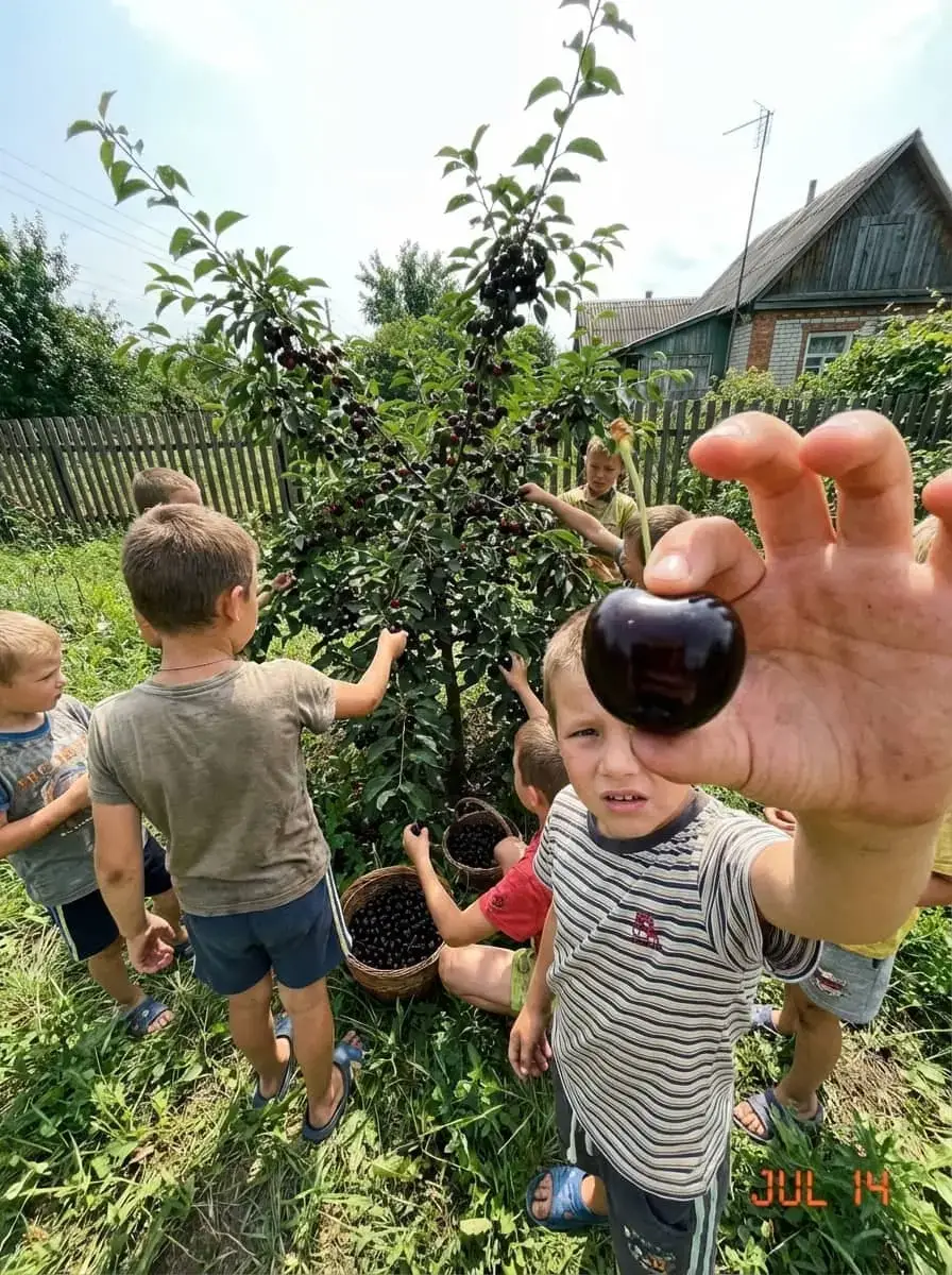 Фото відгуку 5